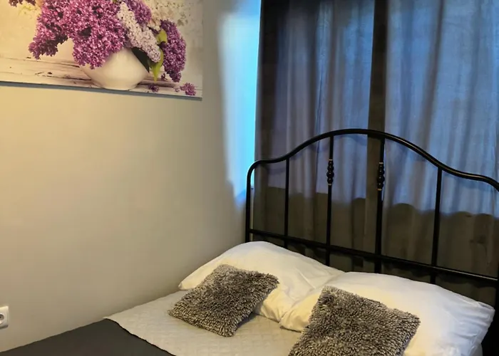 Apartament Coser Centrum