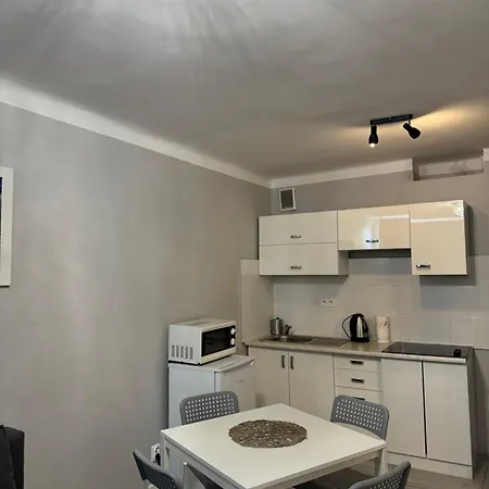 Apartmán Coser Centrum *