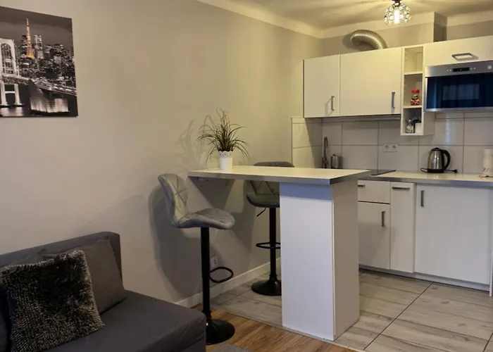 Coser Centrum Appartement Varsovie